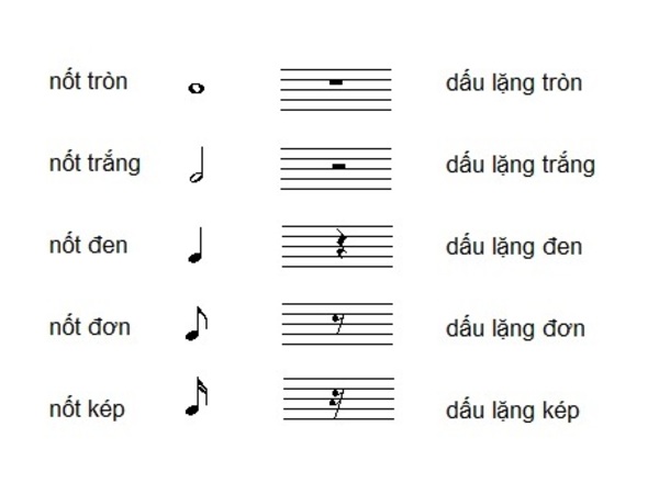 Lý thuyết âm nhạc cơ bản cho người mới bắt đầu học piano