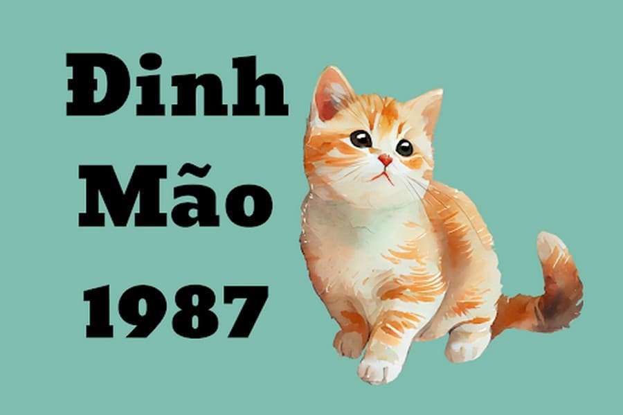 Người sinh năm 1987 có vận mệnh như thế nào? Đinh Mão phù hợp với độ tuổi và màu sắc nào?