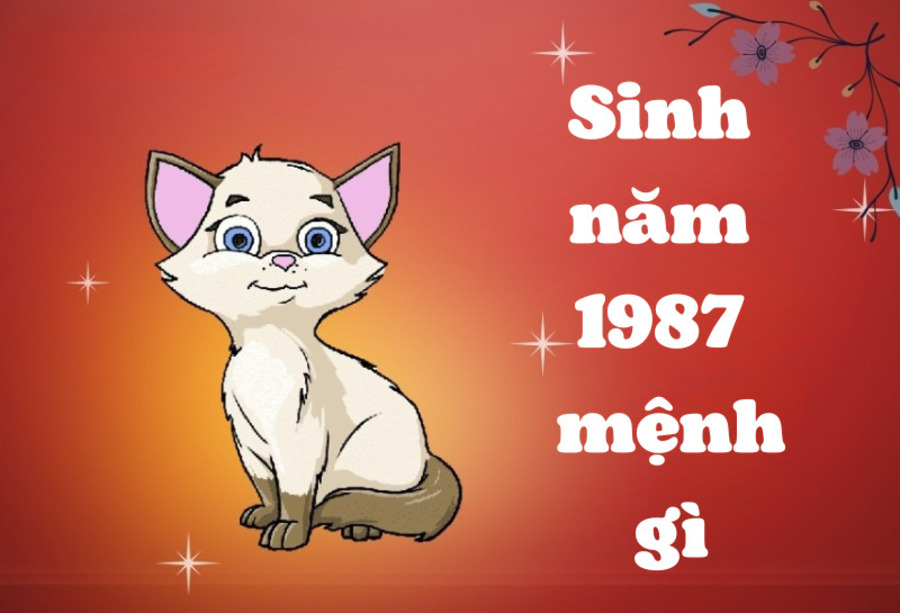 Vận mệnh người Đinh Mão năm 1987 ra sao, điềm báo gì, con bao nhiêu tuổi? -Blog Galle