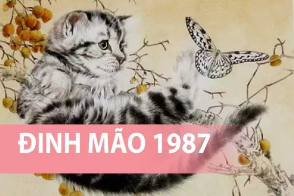 Những người sinh năm 1987 cực kỳ năng động và hay hoài nghi – hãy thừa nhận sai lầm của mình và bảo vệ tôi!!! - Ứng dụng huyền bí