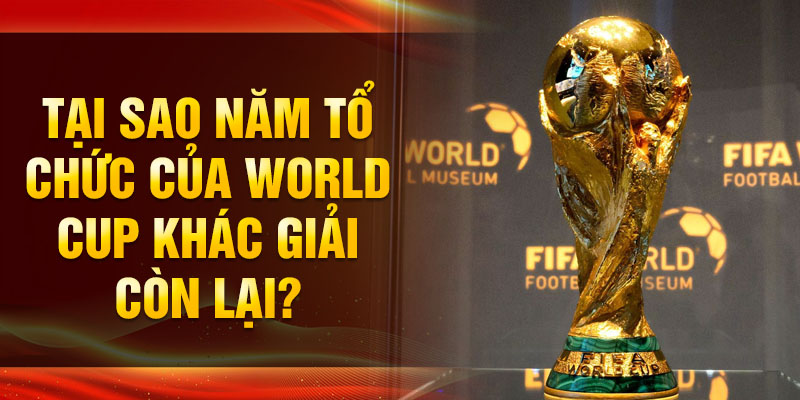 Giải vô địch bóng đá thế giới (World Cup) kéo dài bao nhiêu năm? Hãy cùng tìm hiểu xem giải đấu này được tổ chức khi nào.