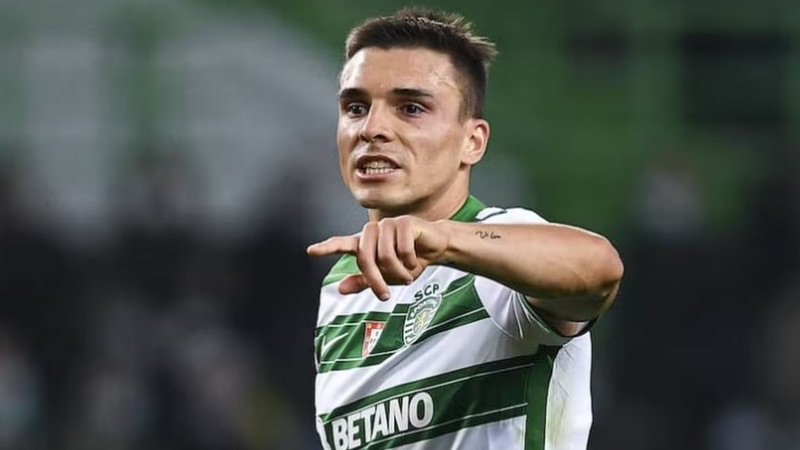 Joao Palhinha tại Sporting